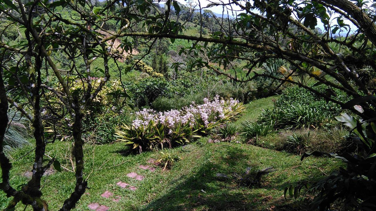 Finca Y Granja Loma Bonita Turrialba Exteriör bild
