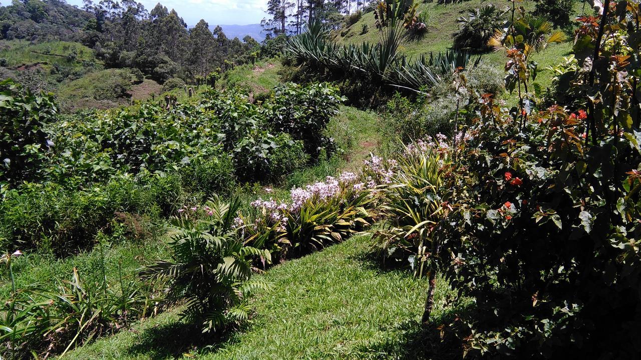 Finca Y Granja Loma Bonita Turrialba Exteriör bild